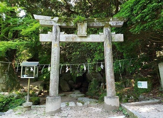 紫藤の滝：福岡県筑紫野市武藏